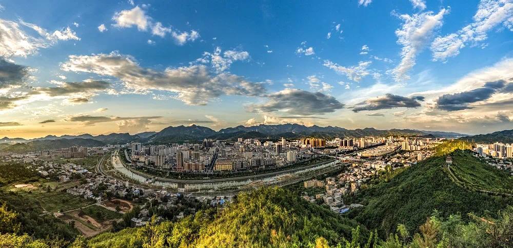 今年商洛市1775万亩森林参加政策性保险凤凰网陕西_凤凰网