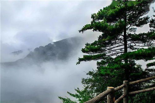 出游 邂逅和雨相遇的商洛