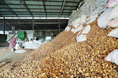 商洛一民营企业核桃壳产品畅销多国