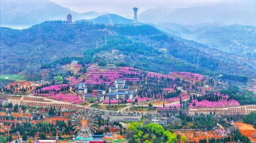 商洛商州 以生态为笔,绘就康养之都新图景