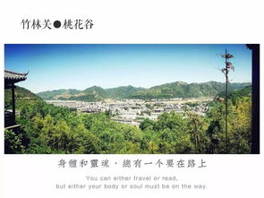 老司机眼中的商洛