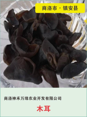 三秦“最靓”土特产展播(二十三)
