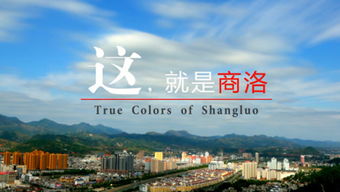 中国台湾网的个人频道