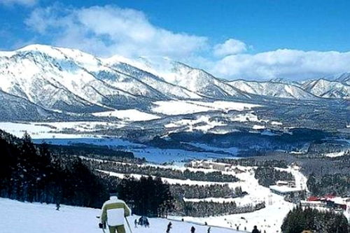 花样冬游 寻味陕西 在新雪季畅享 白色 盛宴