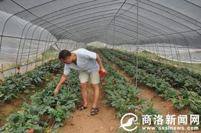 瓦房口镇的精彩 “蝶变”