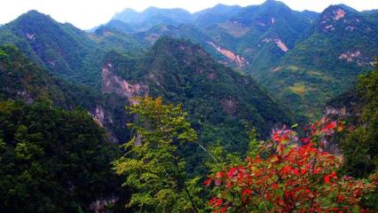 商洛市商南县金丝峡红叶景观获评全国“天气气候景观观赏地”