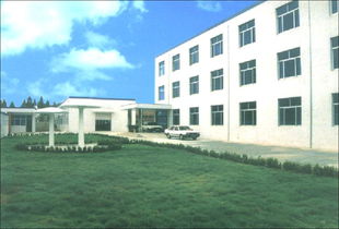 一呼百应公司频道 商洛市场的数字化桥梁