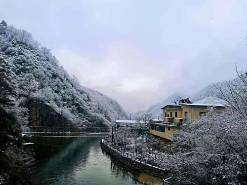 银装素裹 商洛小城的冬日童话