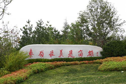 秦岭最美是商洛，秋意正浓满园色