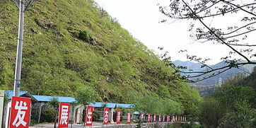 商洛行记之八 板栗之乡谱新篇——浦口援建博士工作站助力镇安产业升级