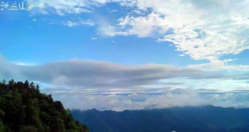 商洛夏韵 一场宫崎骏动漫般的仲夏之梦