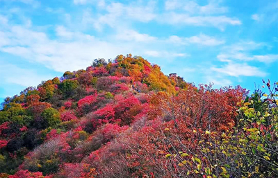 丈量大秦岭，为商洛美停留 你想要的秋色这里都有